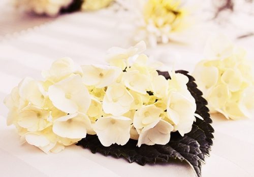 White Flowers